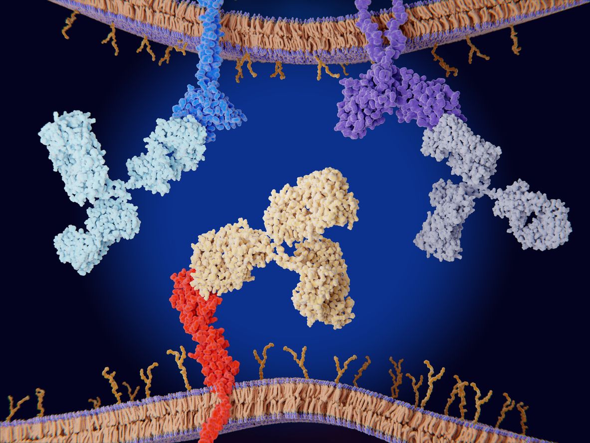 Adimab ad