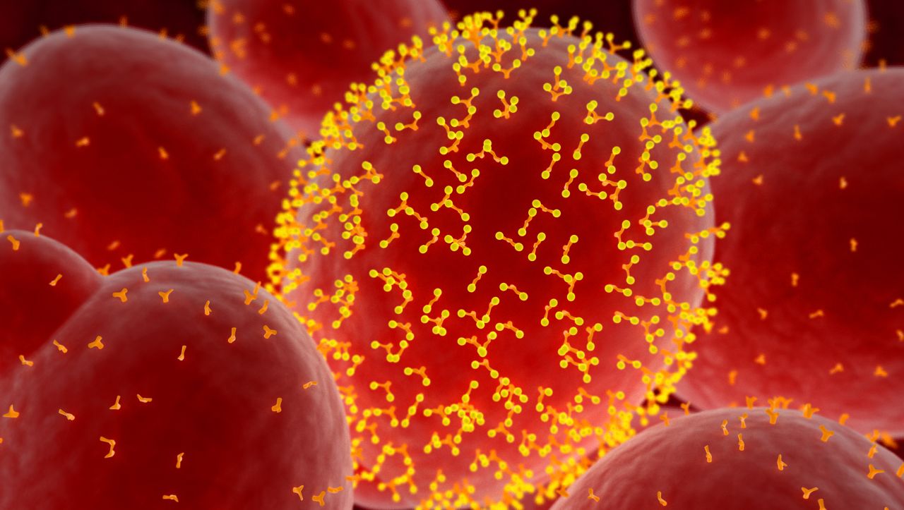 Adimab ad