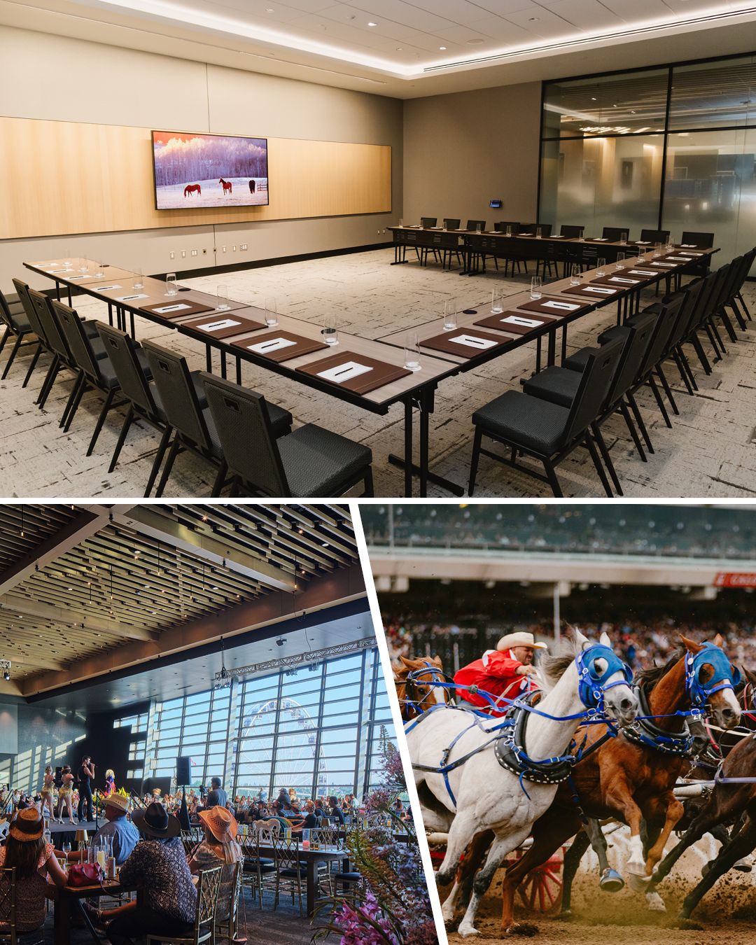 The Calgary Stampede ad