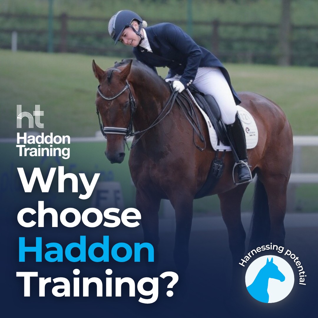 Haddon Training Ltd ad