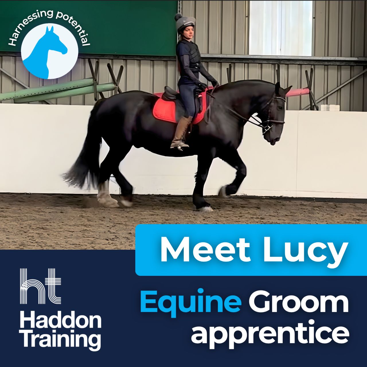Haddon Training Ltd ad
