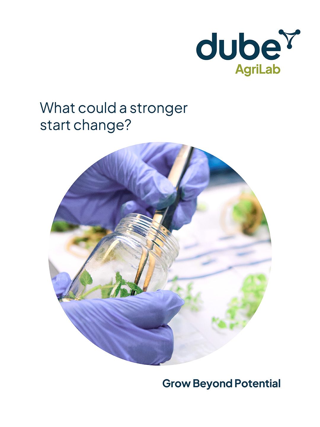 Dube TradePort Corporation ad