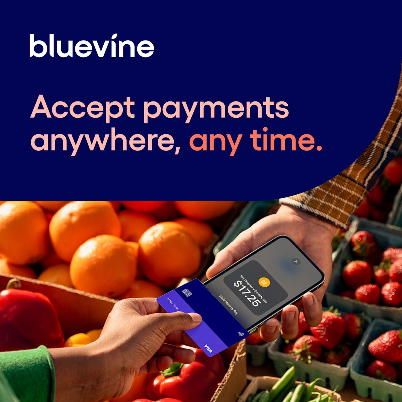 Bluevine ad
