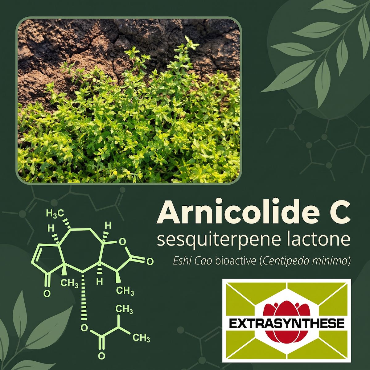 EXTRASYNTHESE ad