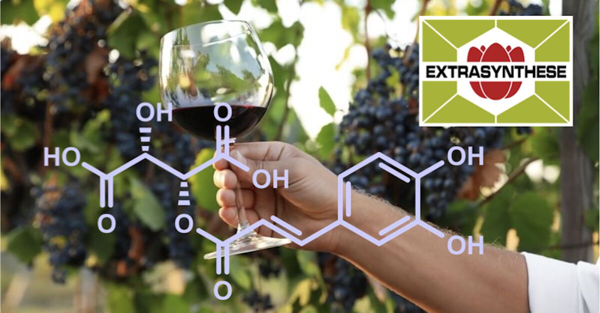 EXTRASYNTHESE ad
