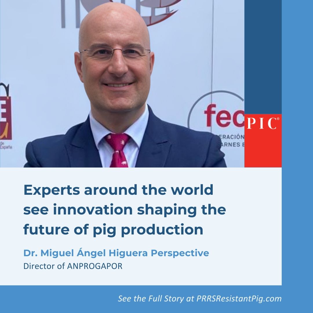 Pig Improvement Company (PIC) - North America ad