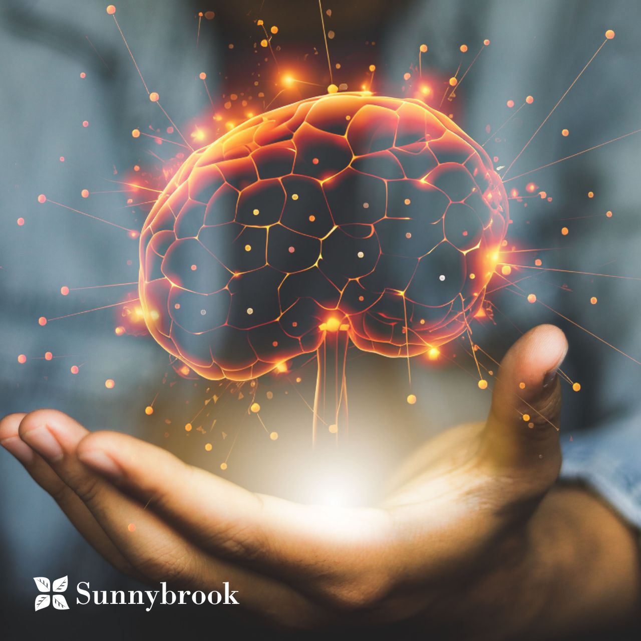 Sunnybrook ad