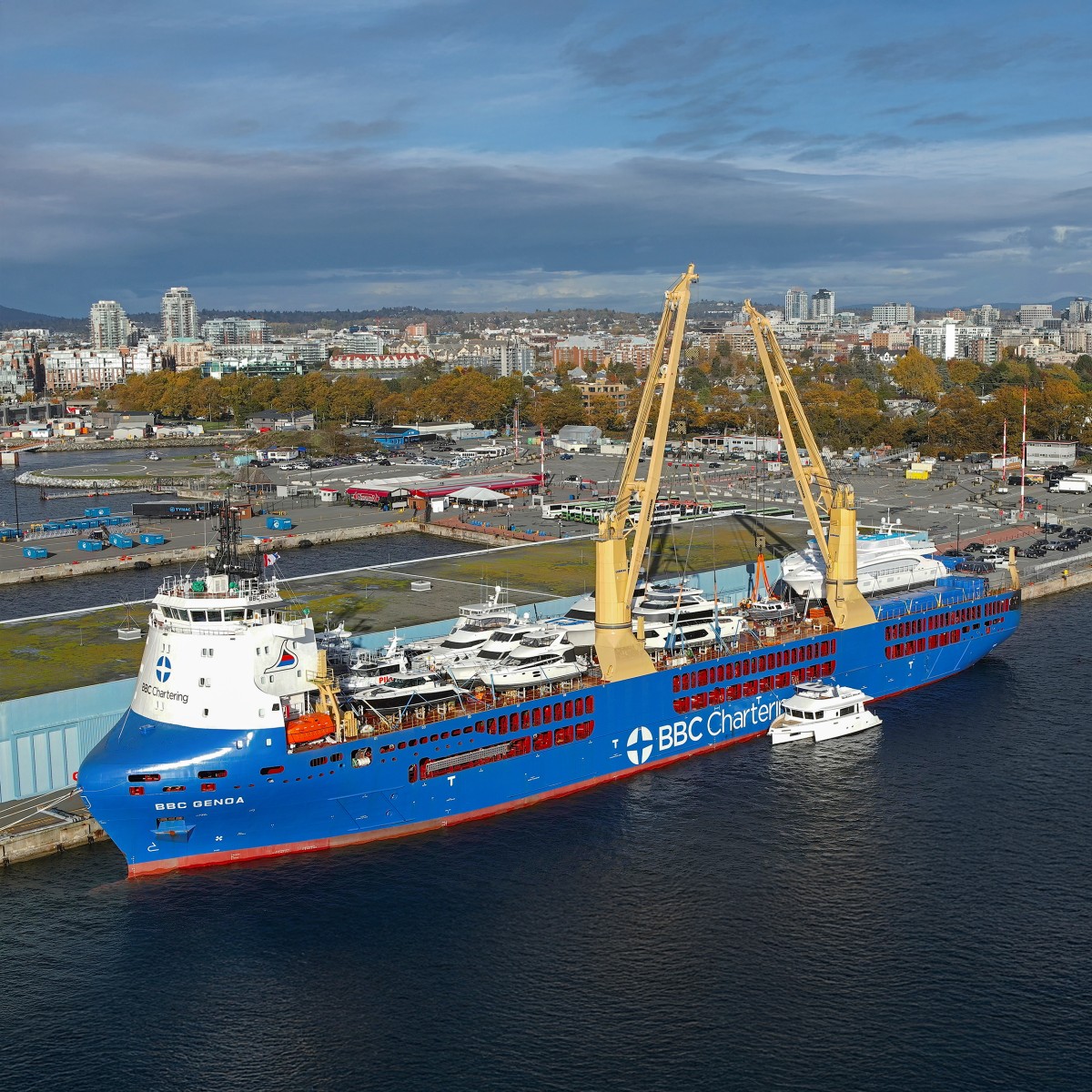 Liebherr Maritime Cranes ad