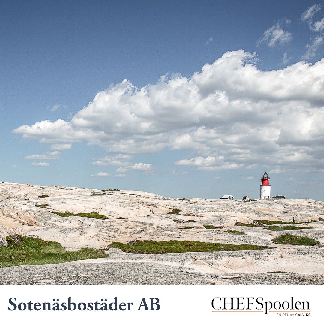 Chefspoolen i Sverige AB ad