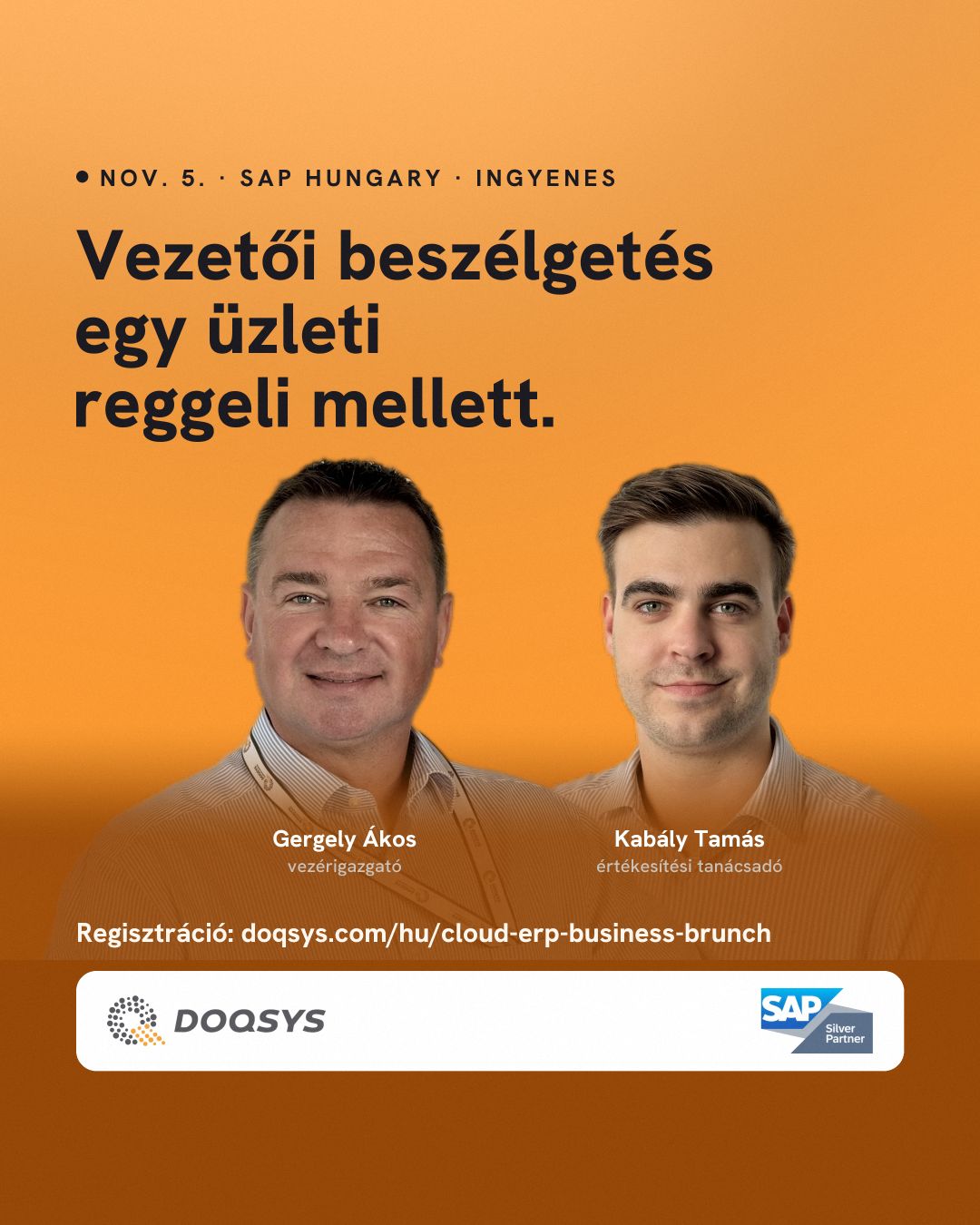 DOQSYS Business Solutions Ltd. ad