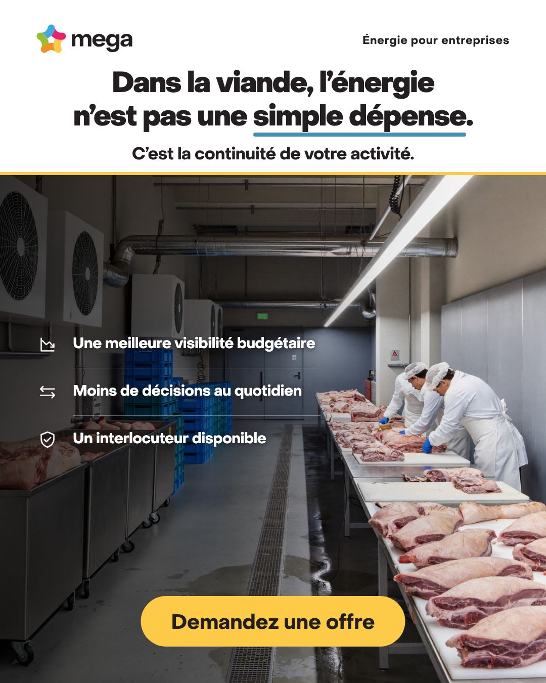 Mega ad