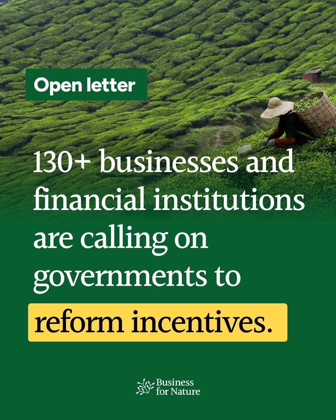 Business for Nature ad