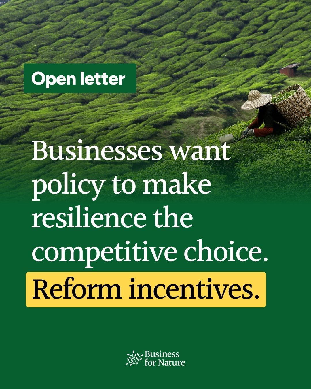 Business for Nature ad