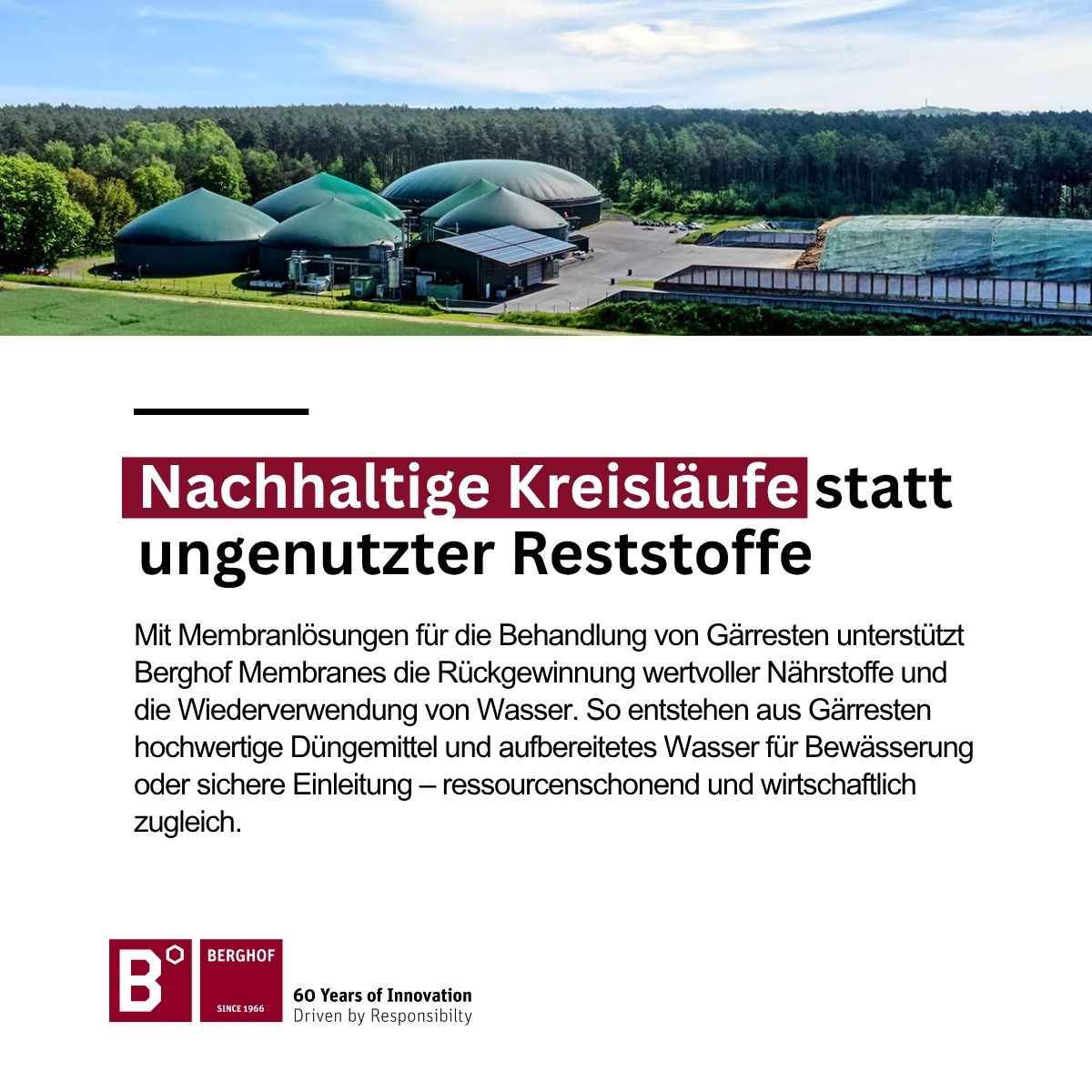 Berghof Group ad