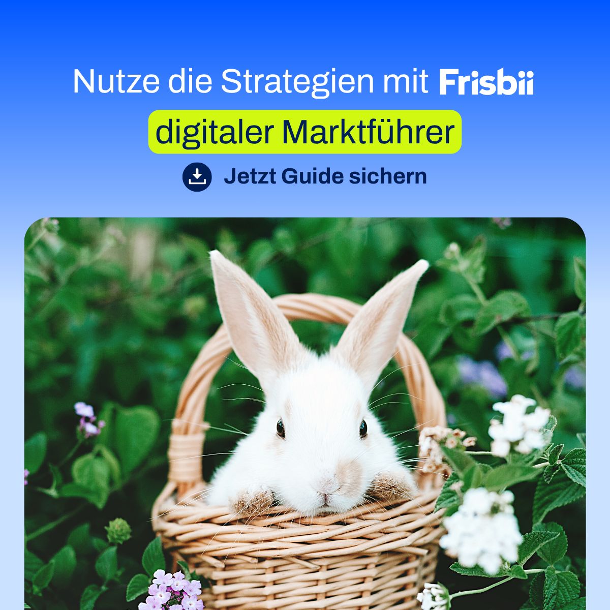 Frisbii Media ad