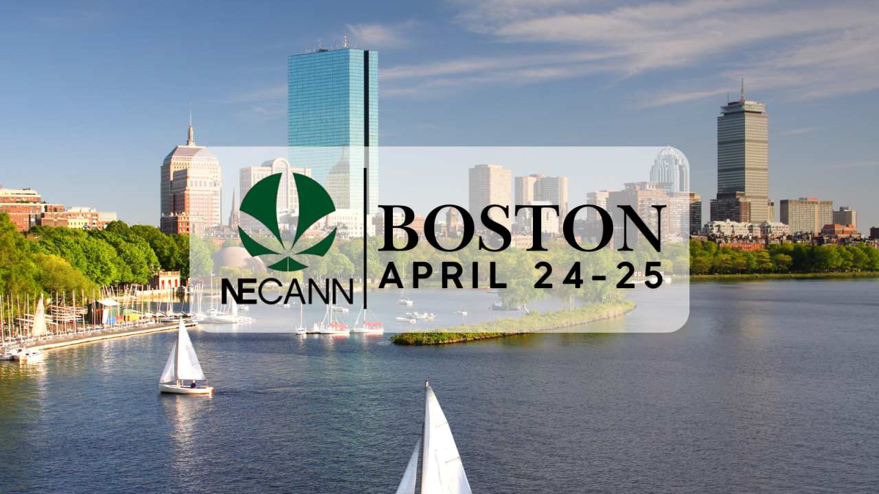NECANN ad