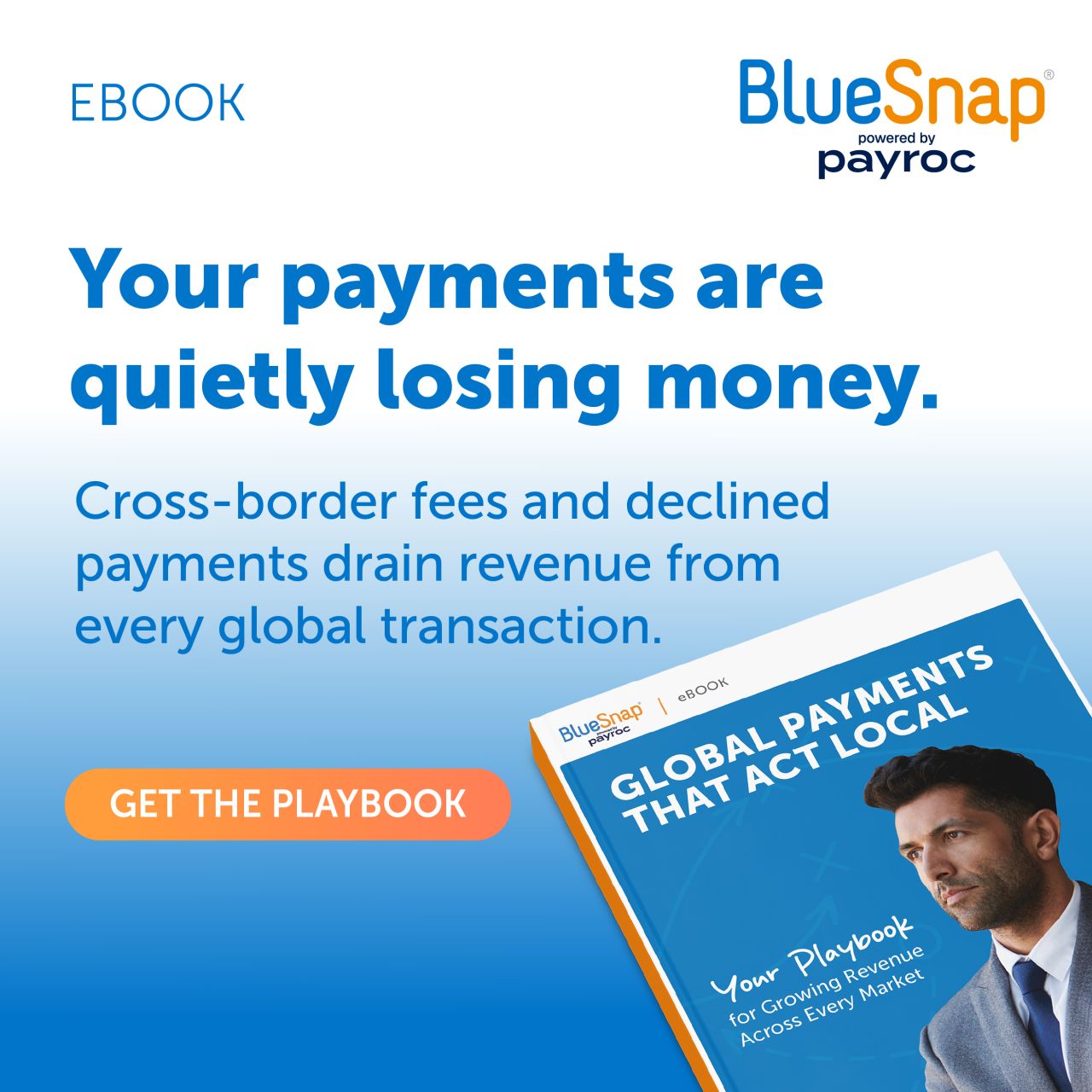 BlueSnap ad