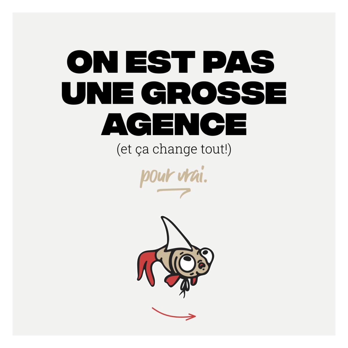 fatfish | identité + web + stratégie ad