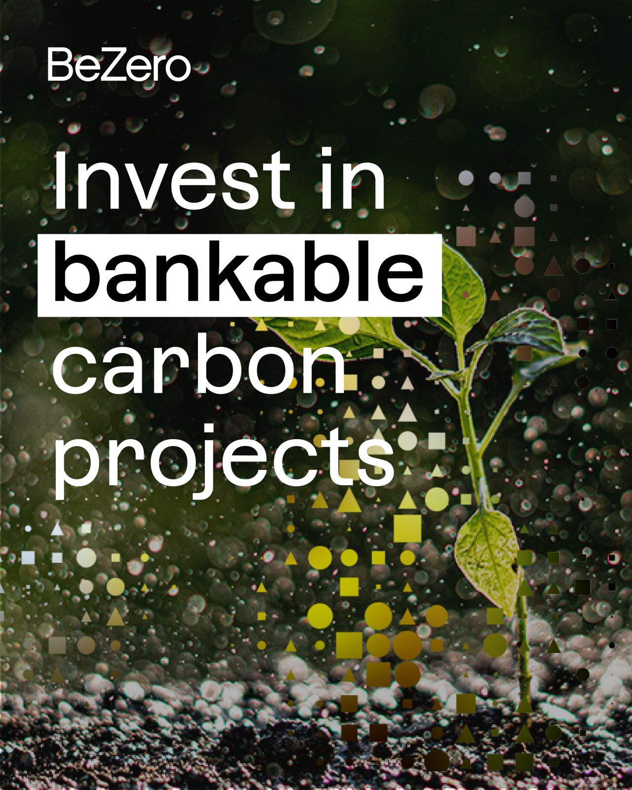 BeZero Carbon ad