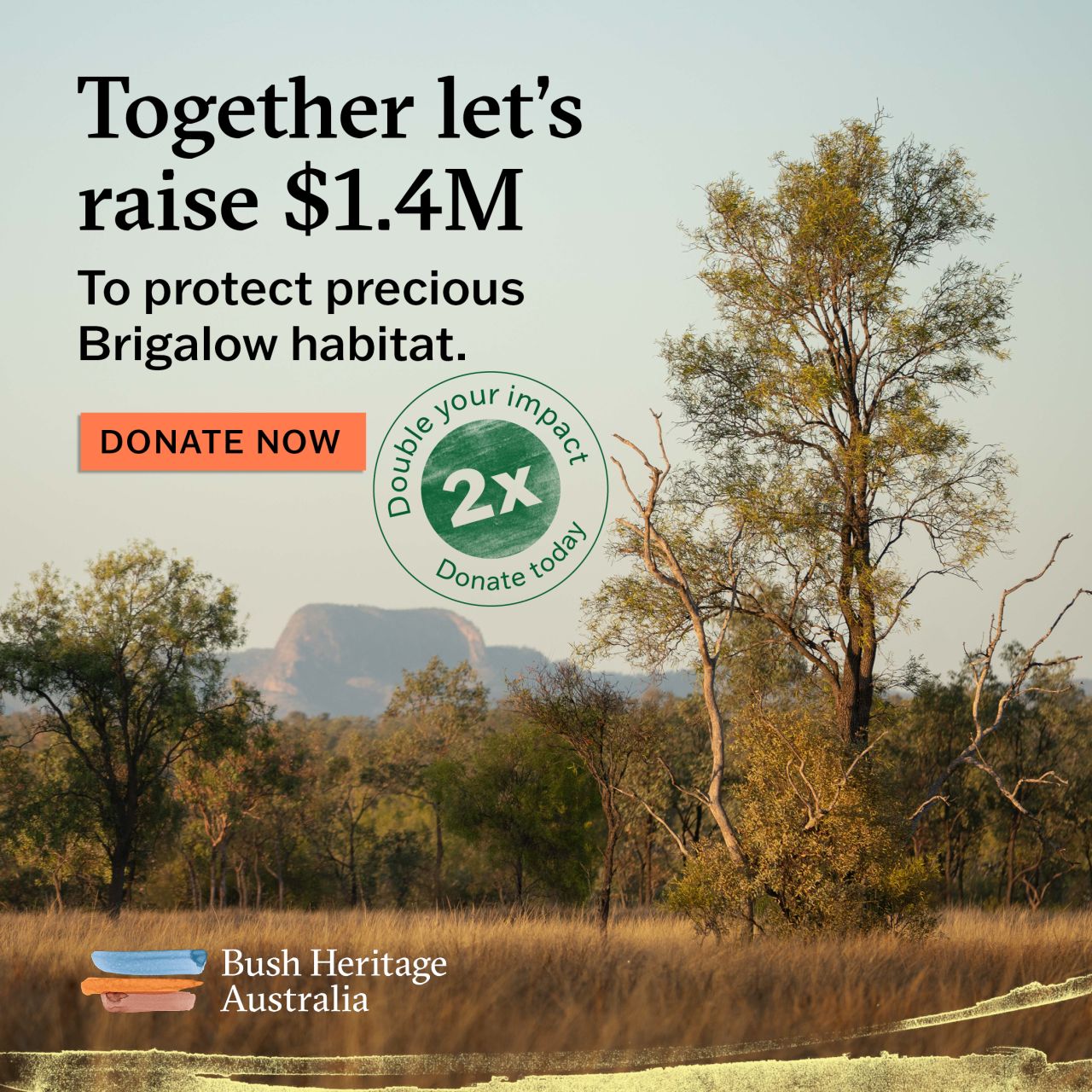 Bush Heritage Australia ad