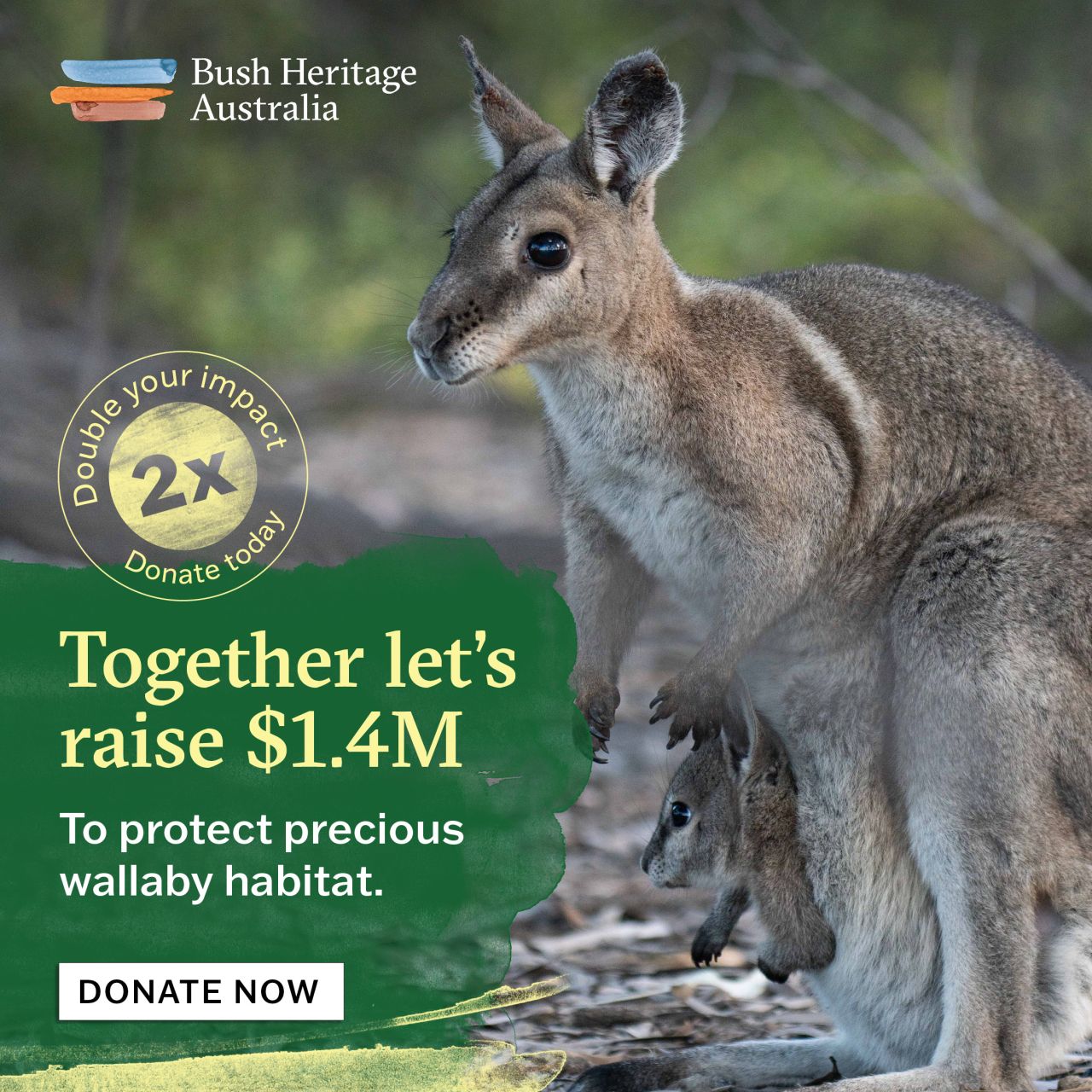 Bush Heritage Australia ad