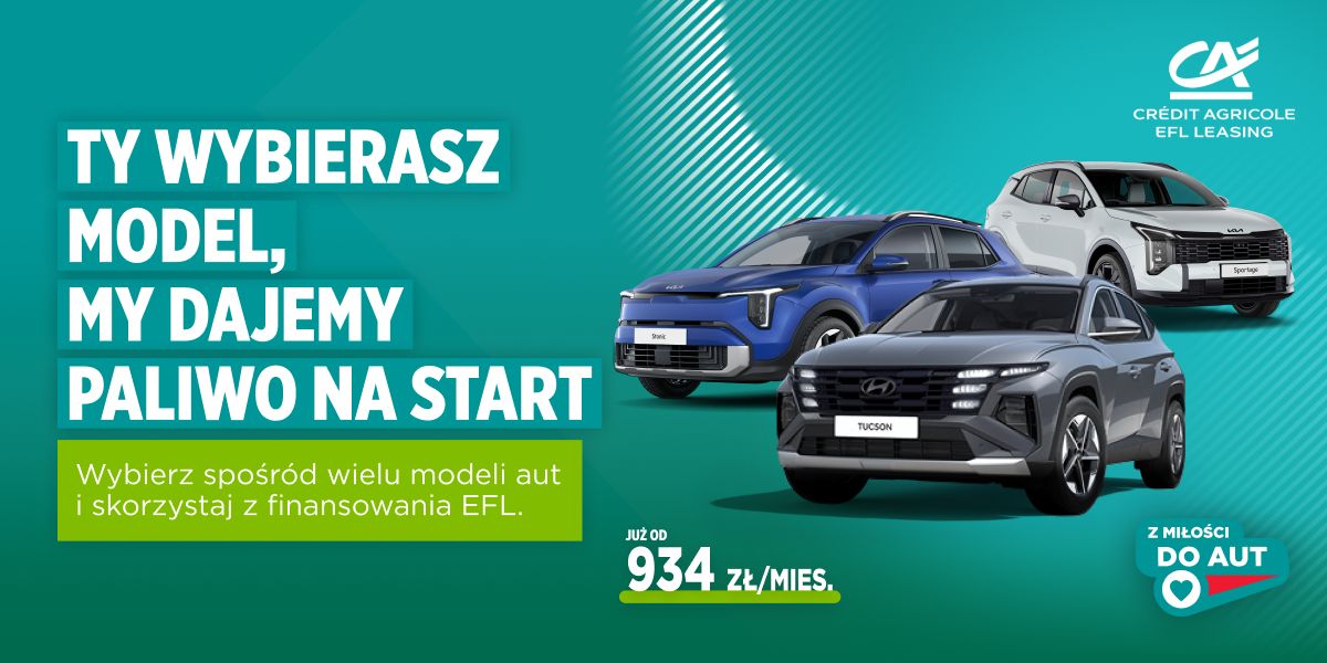 Europejski Fundusz Leasingowy SA ad