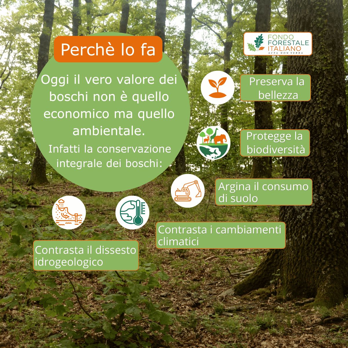 Fondo Forestale Italiano ad