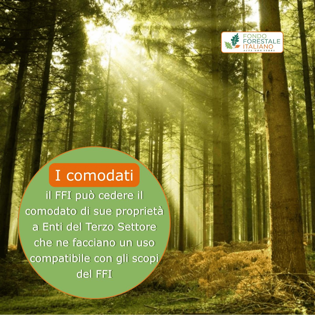 Fondo Forestale Italiano ad
