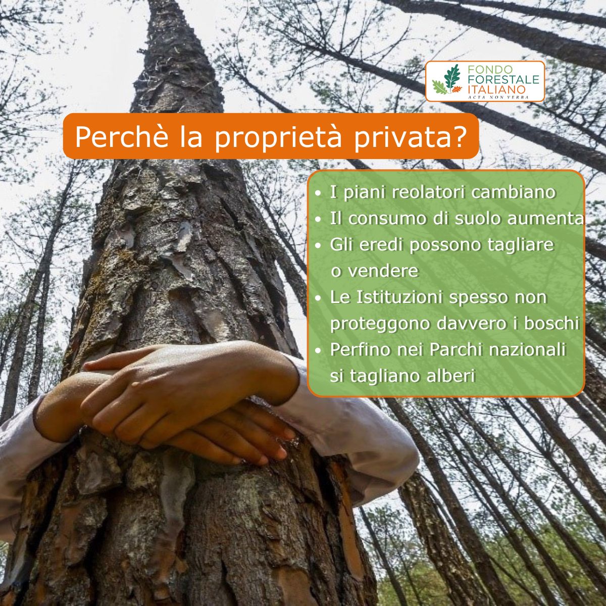 Fondo Forestale Italiano ad