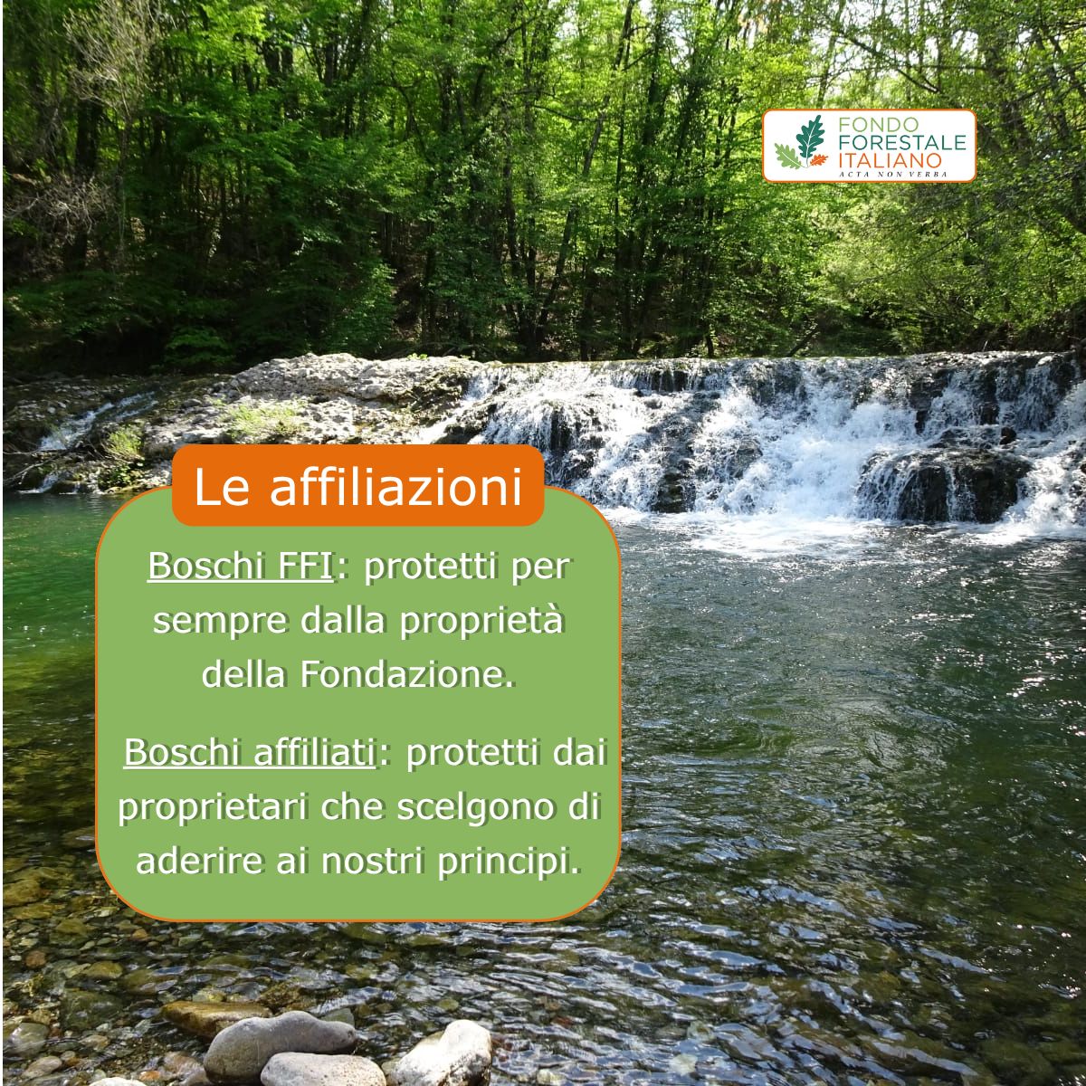 Fondo Forestale Italiano ad