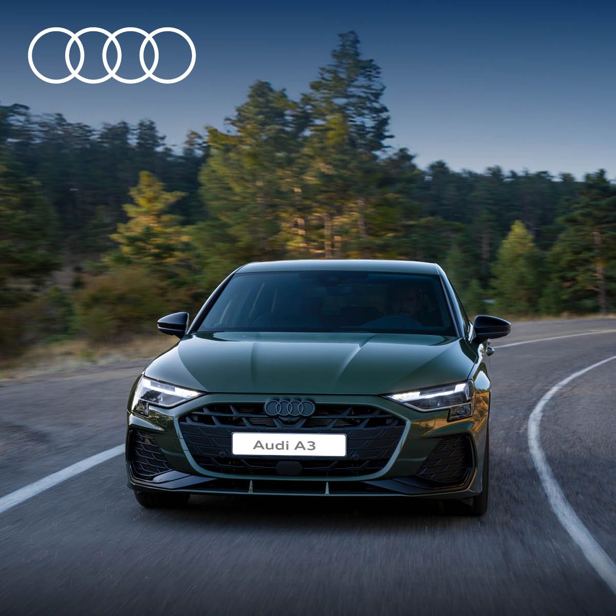 Bidvest McCarthy Audi ad