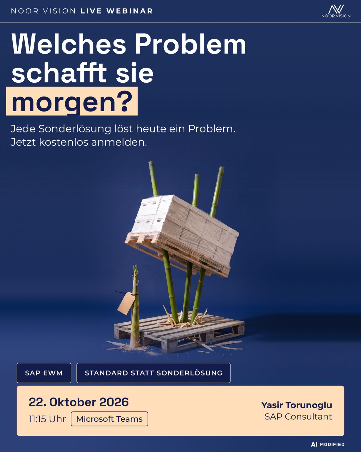 Noor Vision GmbH ad