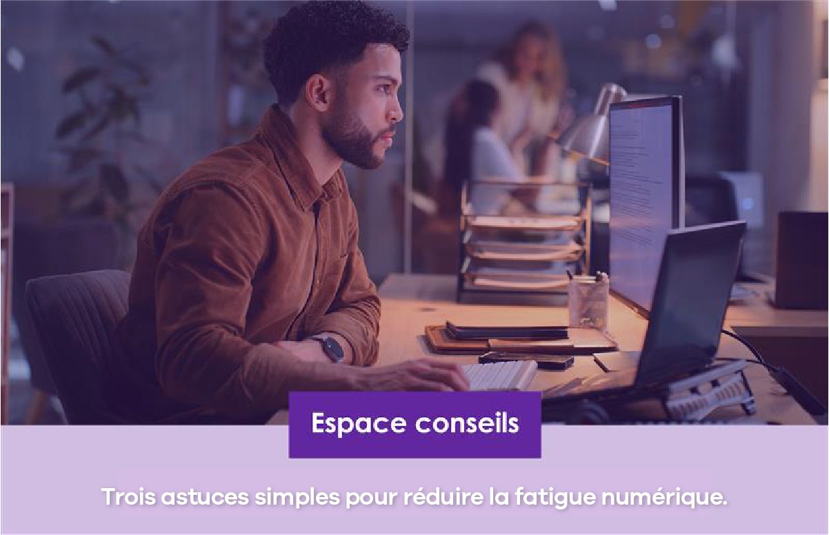 Hamster - Novexco ad
