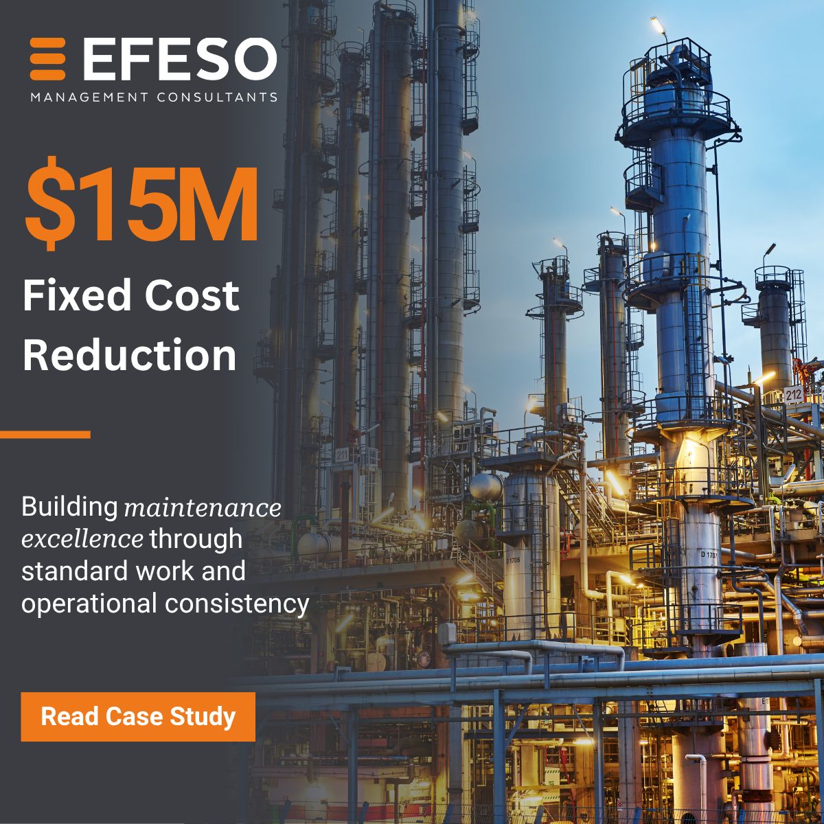 EFESO Management Consultants - Americas ad