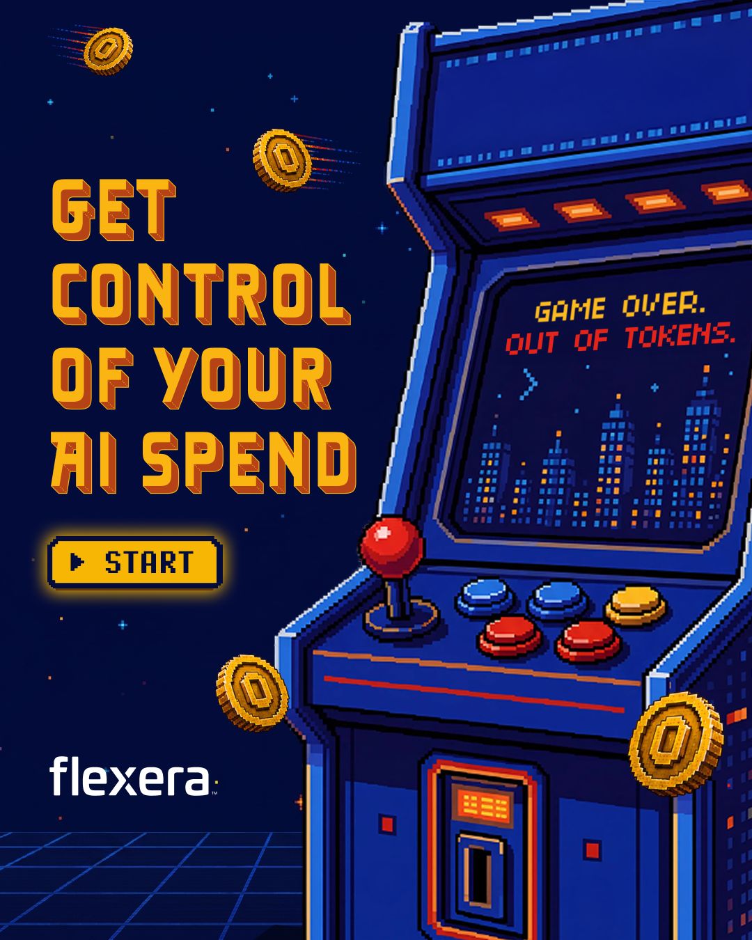 Flexera ad