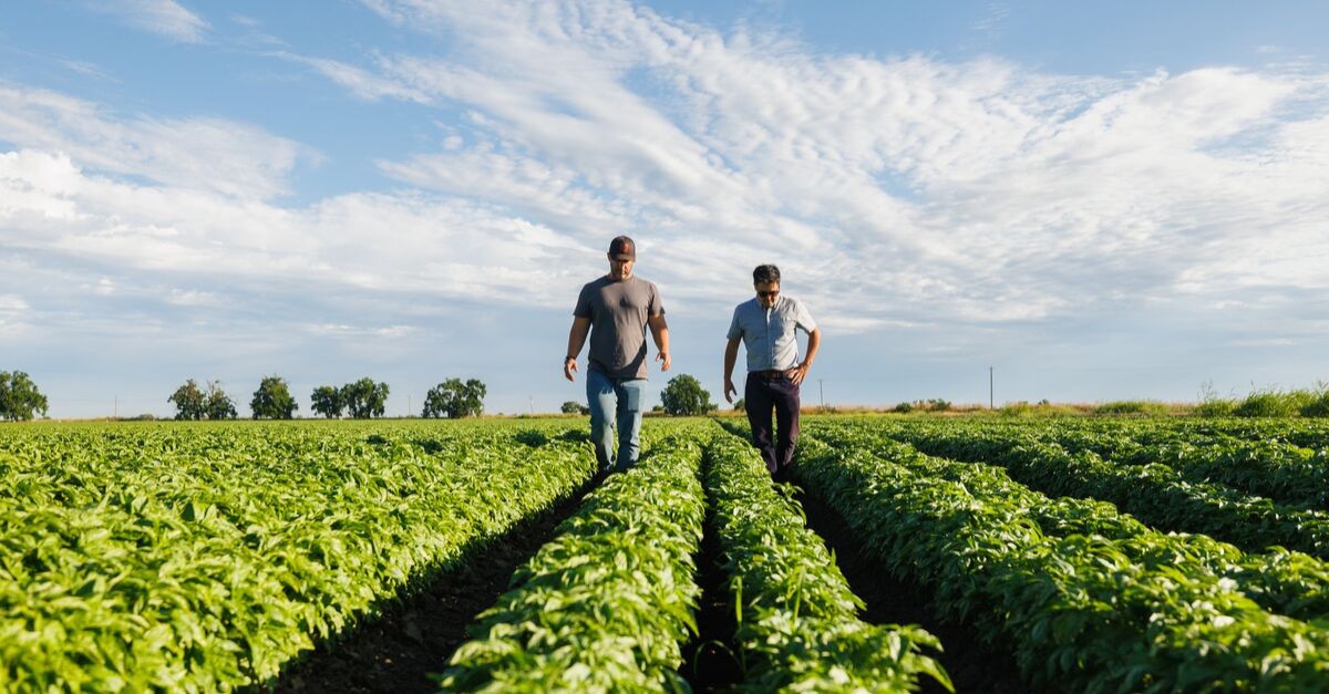 American AgCredit ad