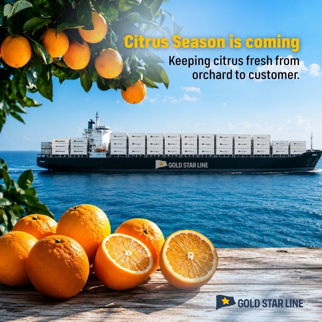 Gold Star Line LTD. ad