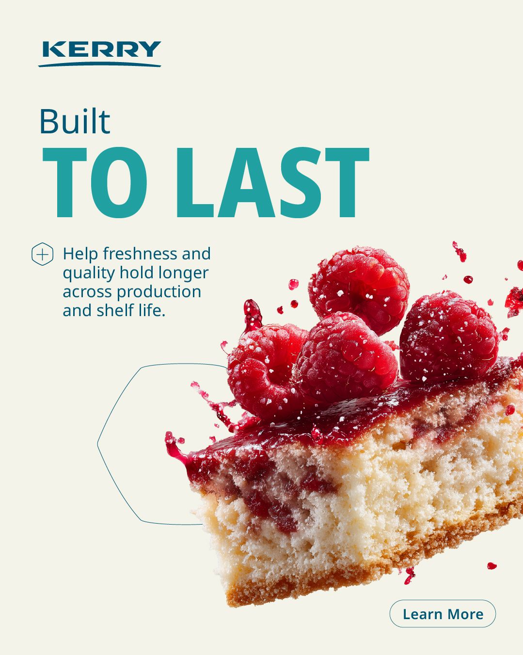 Kerry ad