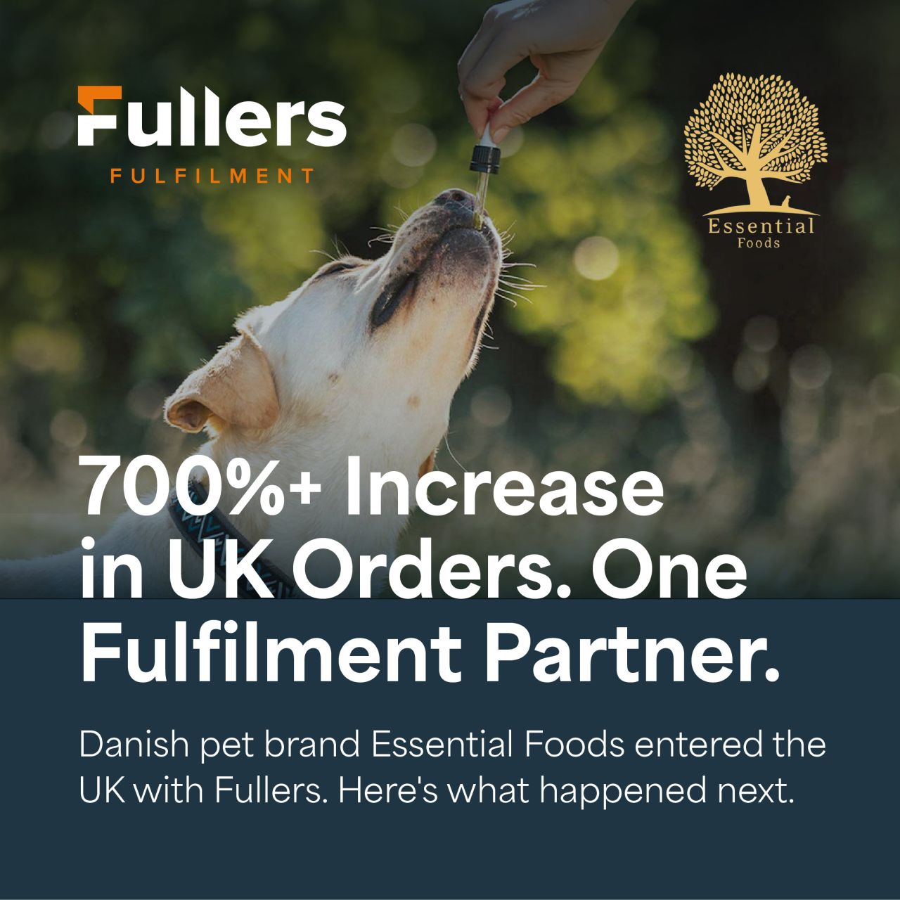 Fullers Fulfilment ad