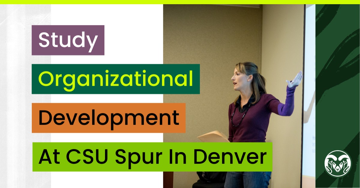 Colorado State University Online ad