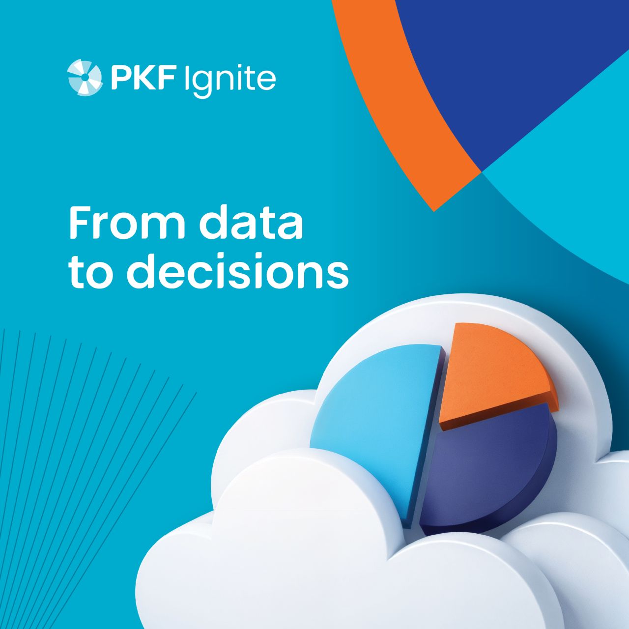 PKF in South Africa ad