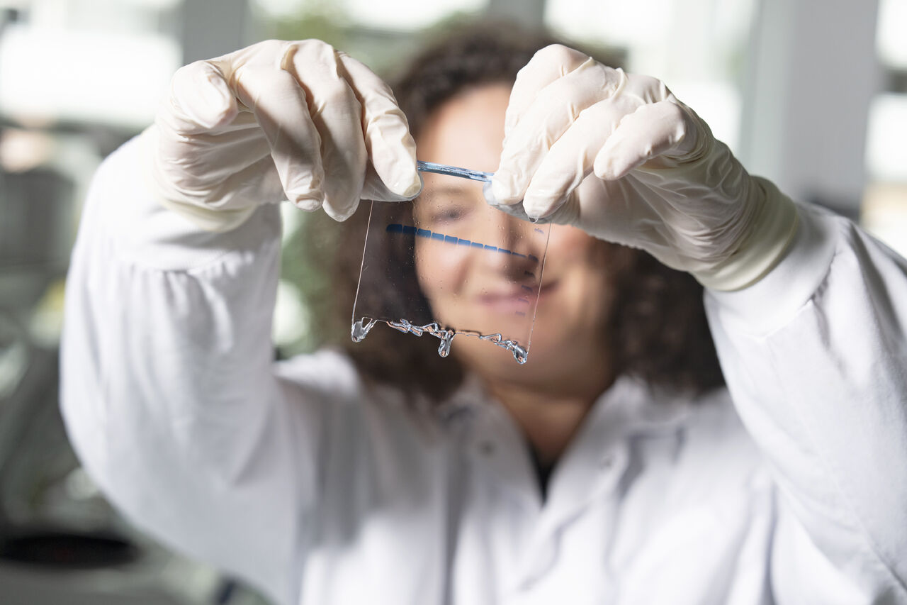 Research Institute of Molecular Pathology (IMP) ad