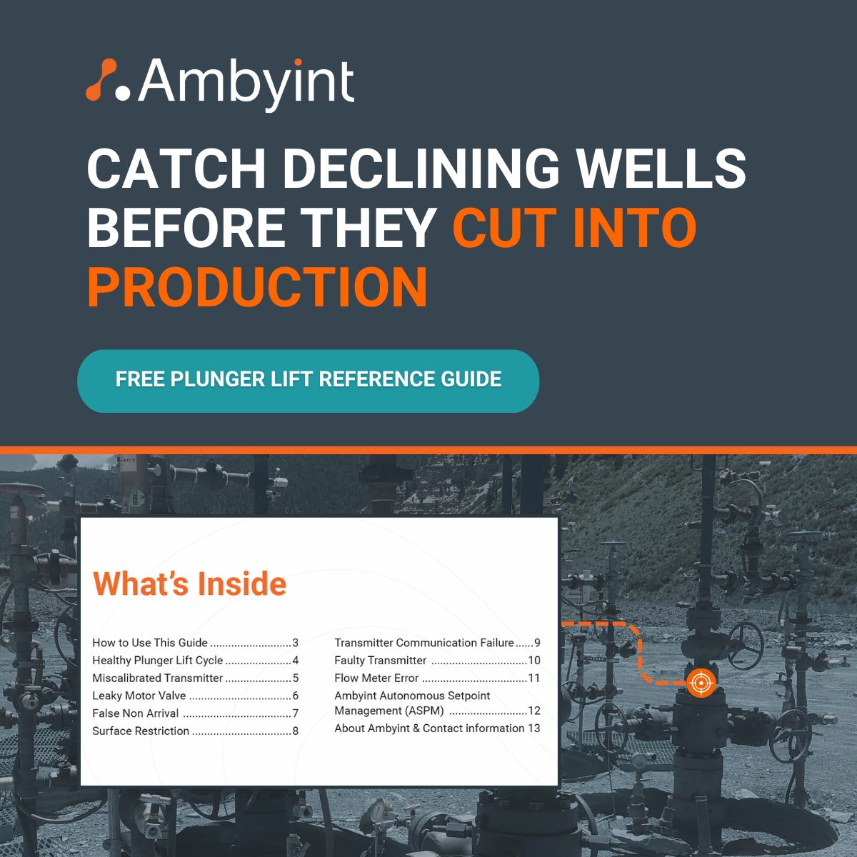 Ambyint ad