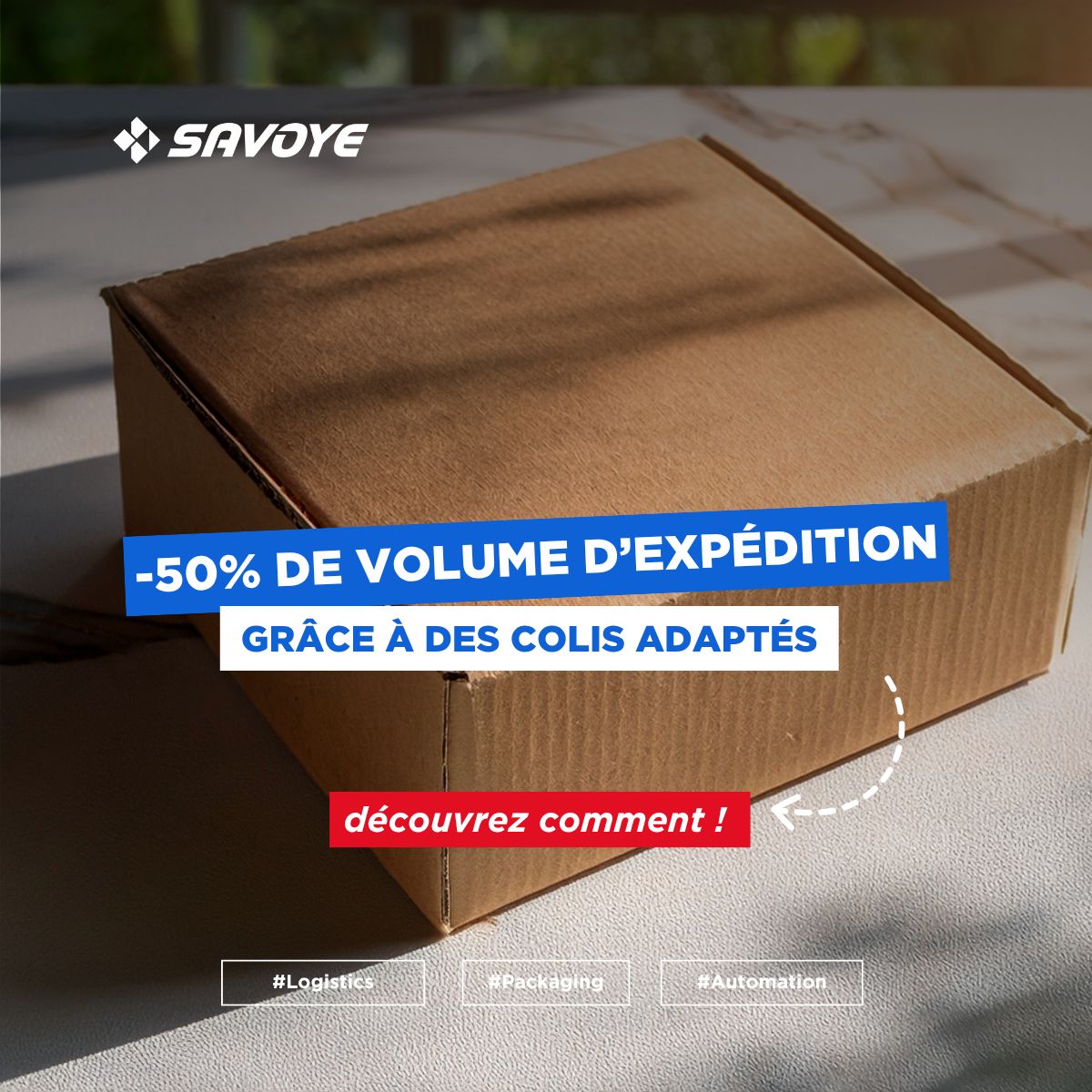 SAVOYE ad