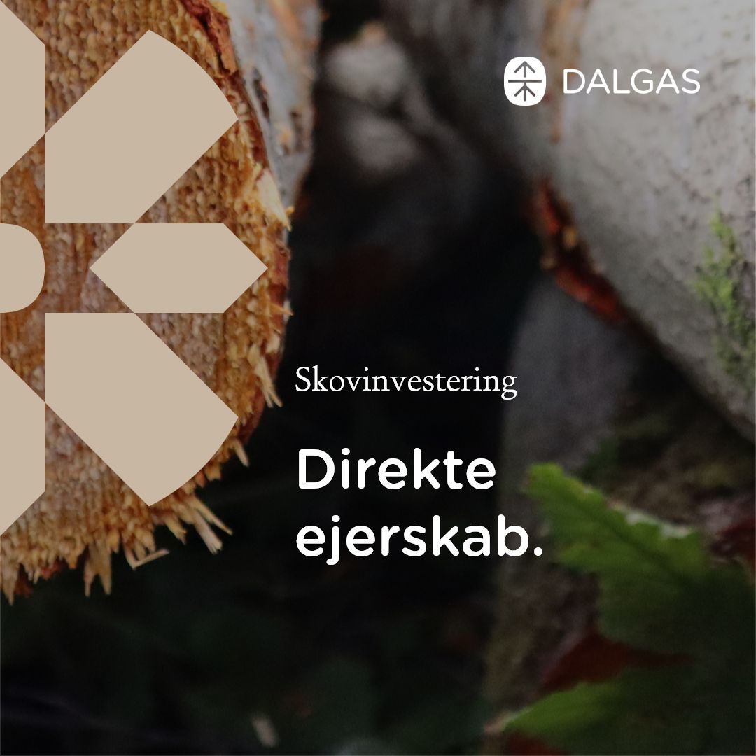 Dalgas ad