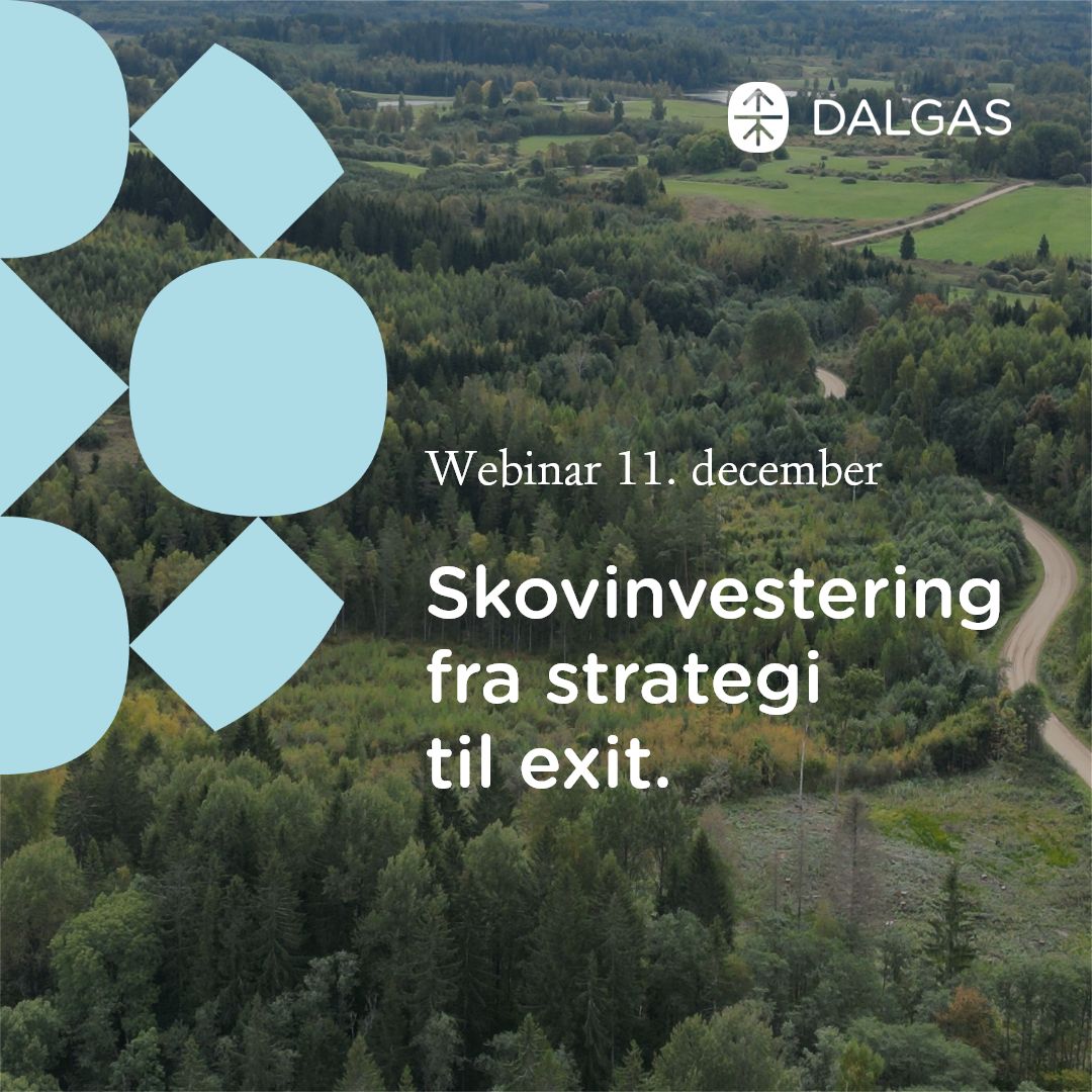 Dalgas ad