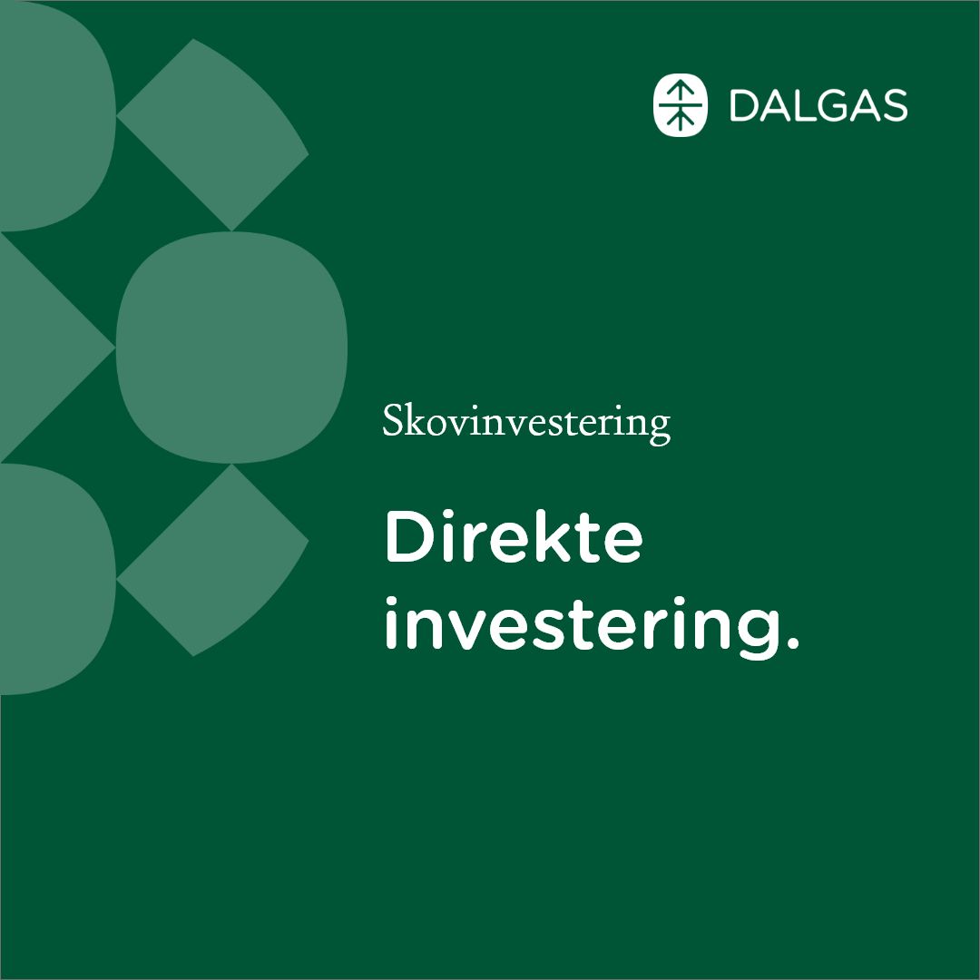 Dalgas ad