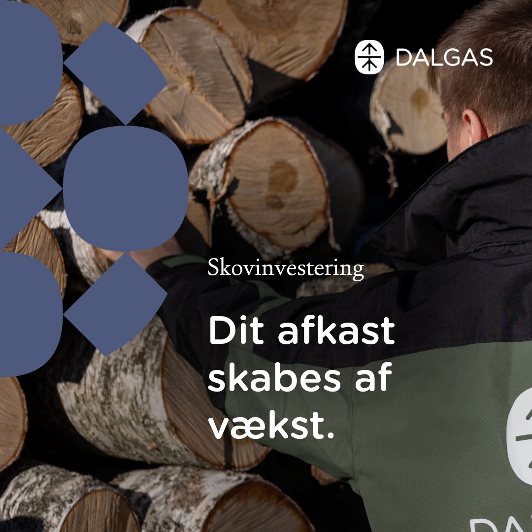 Dalgas ad