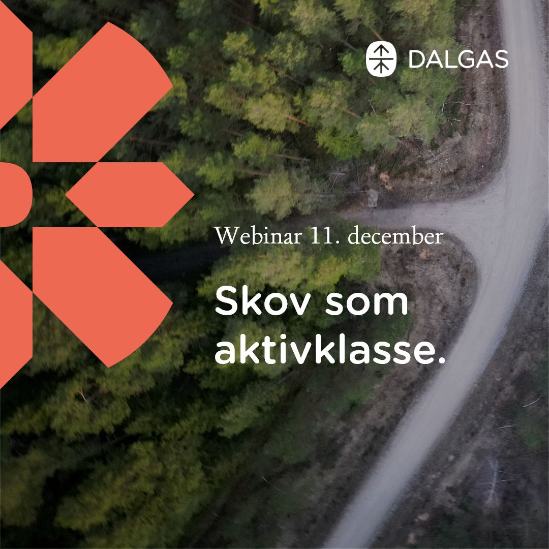 Dalgas ad