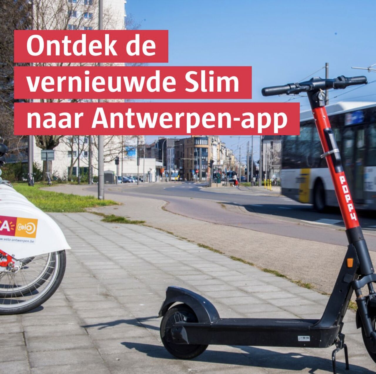 icapps ad